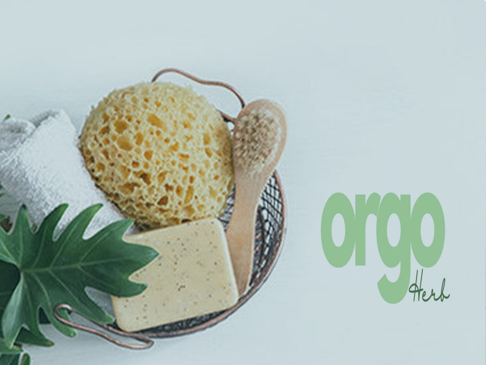 Orgo Herb